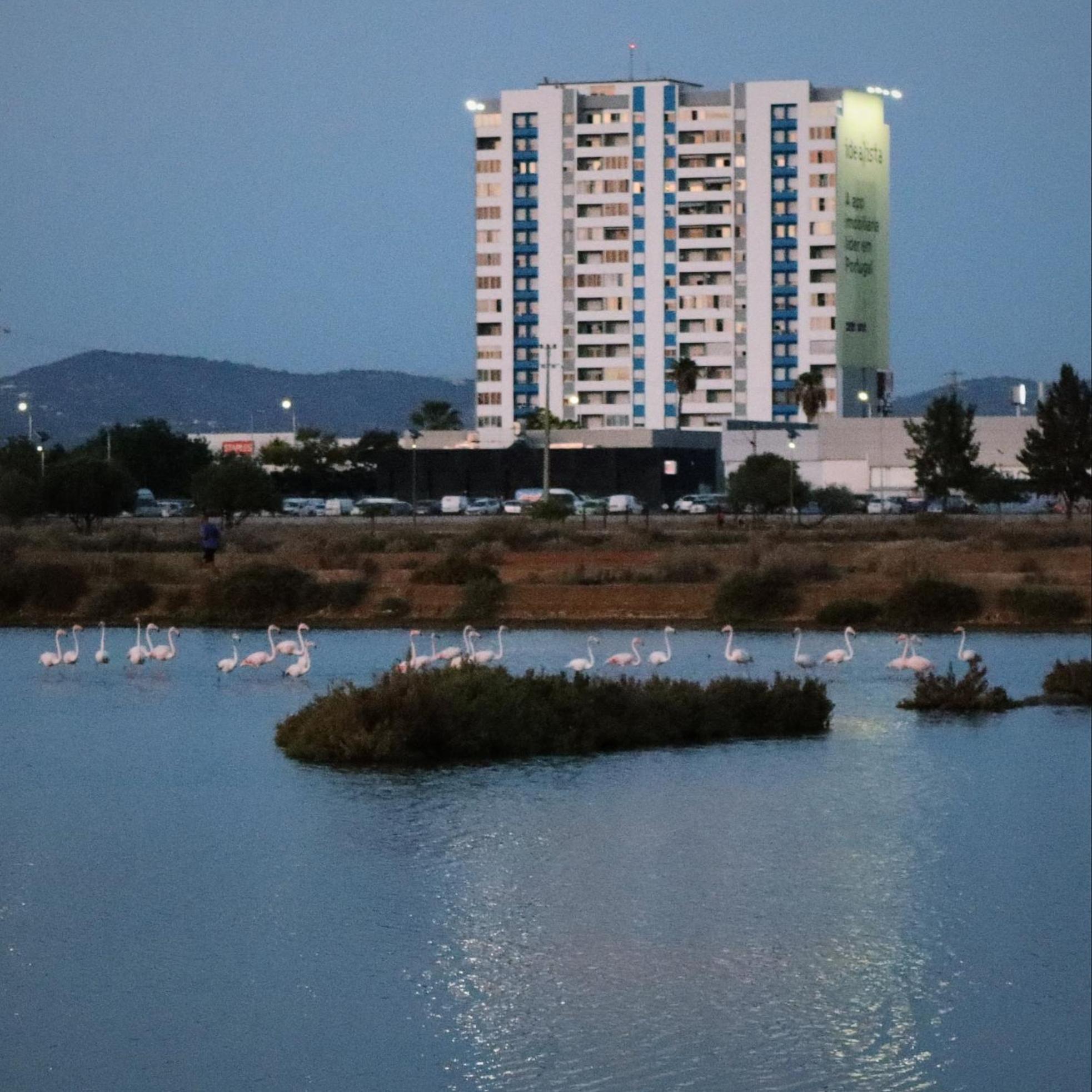 Sea View Apartment Фару Экстерьер фото